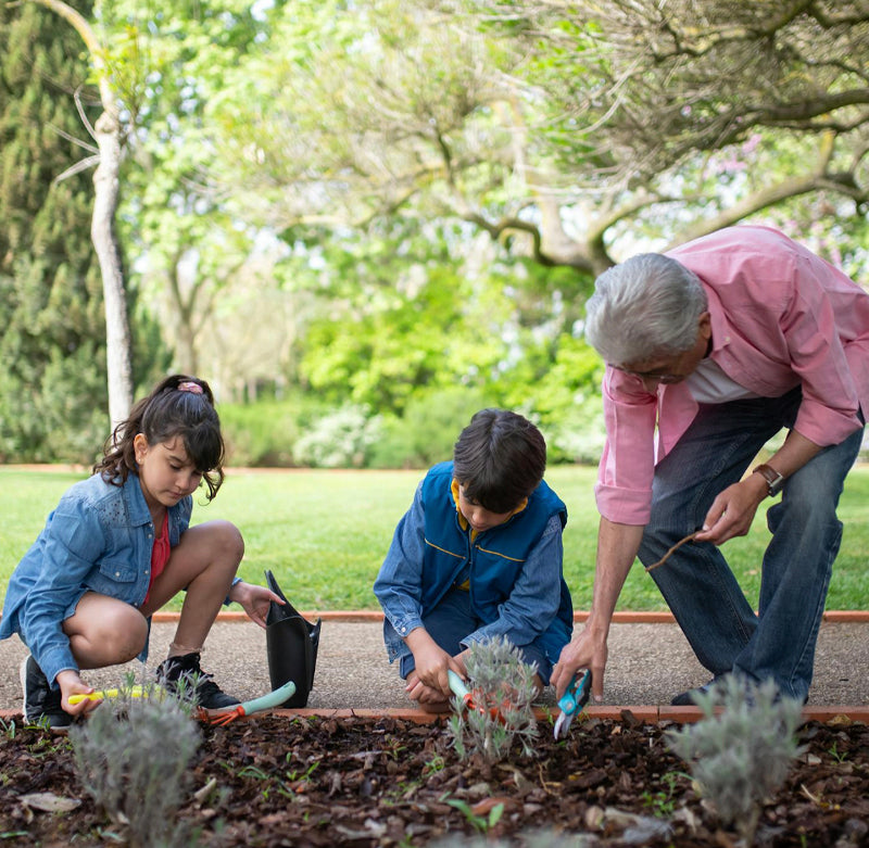 Get the Kids Gardening