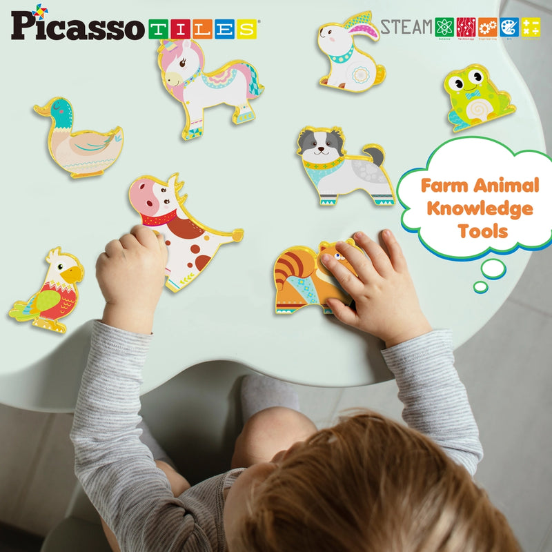 Picasso 8pc Magnet Building Blocks Animals Figures