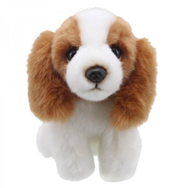 Wilberry Mini King Charles Spaniel