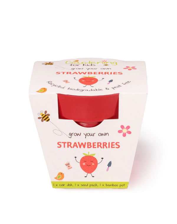 Strawberries Growing Kit with Pot