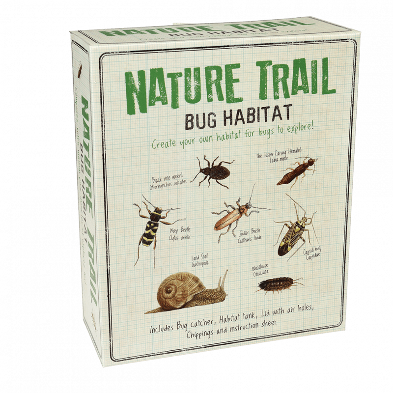 Make your own bug habitat