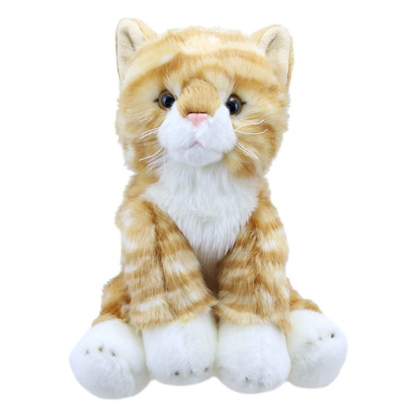 Wilberry Toys - Ginger Cat Soft Toy.