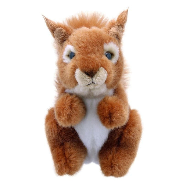 Mini Tawny Squirrel.