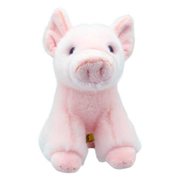 wilberry Mini Pig