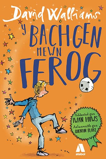 Y Bachgen Mewn Ffrog.