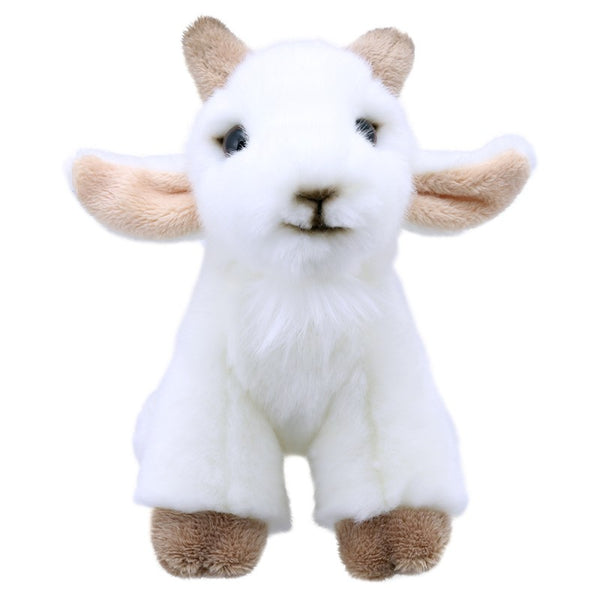 Mini Goat.