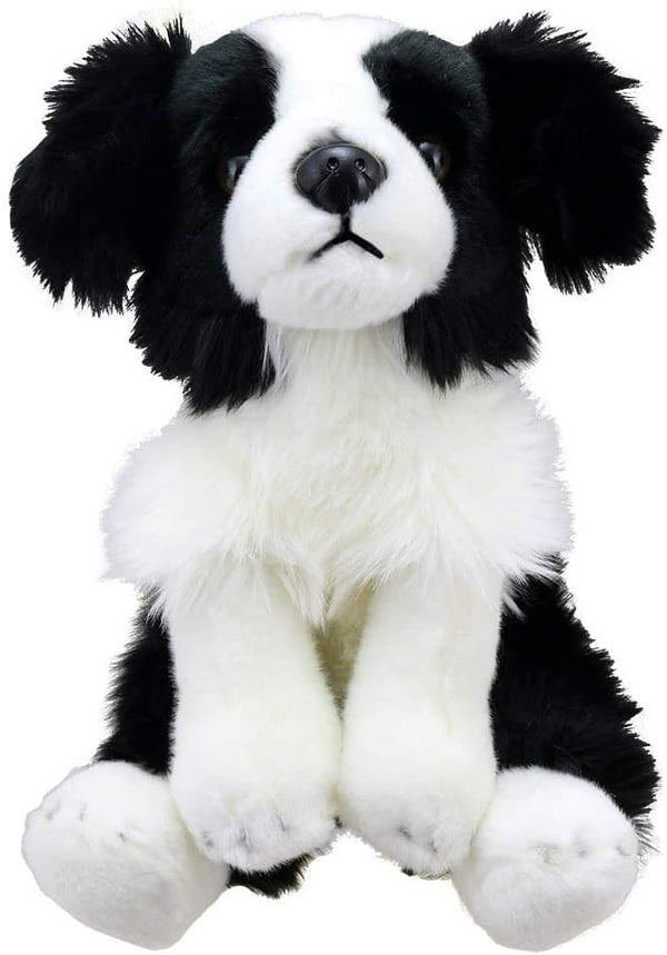 wilberry border collie dog