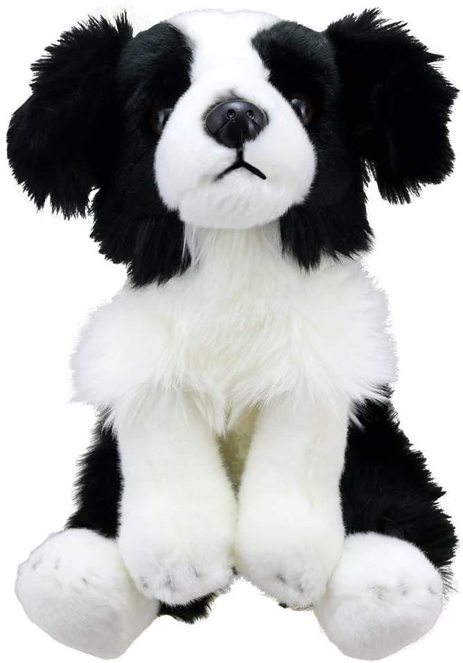 wilberry border collie dog