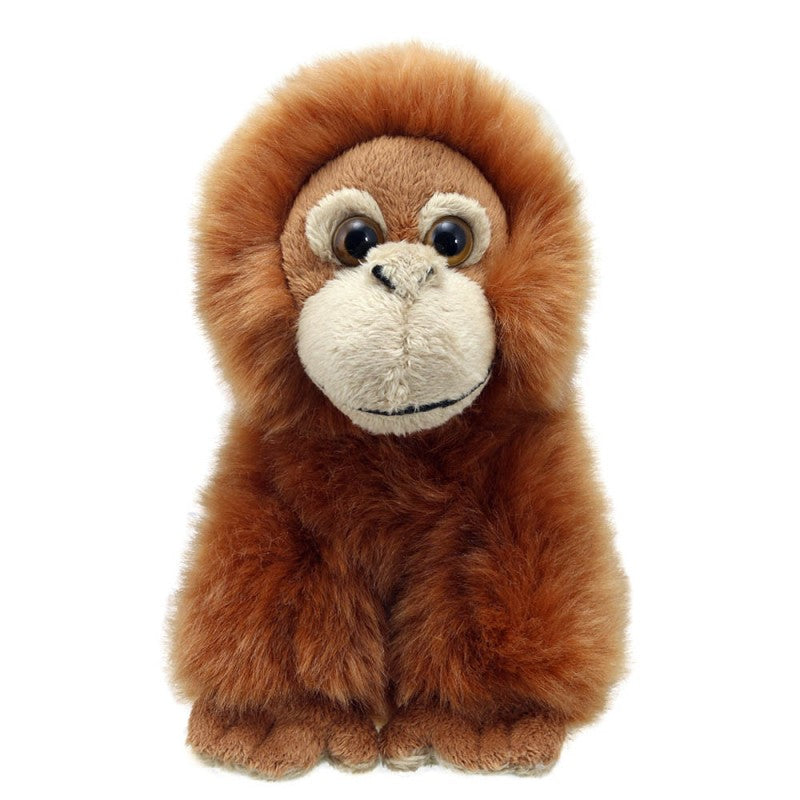Mini Orangutan.