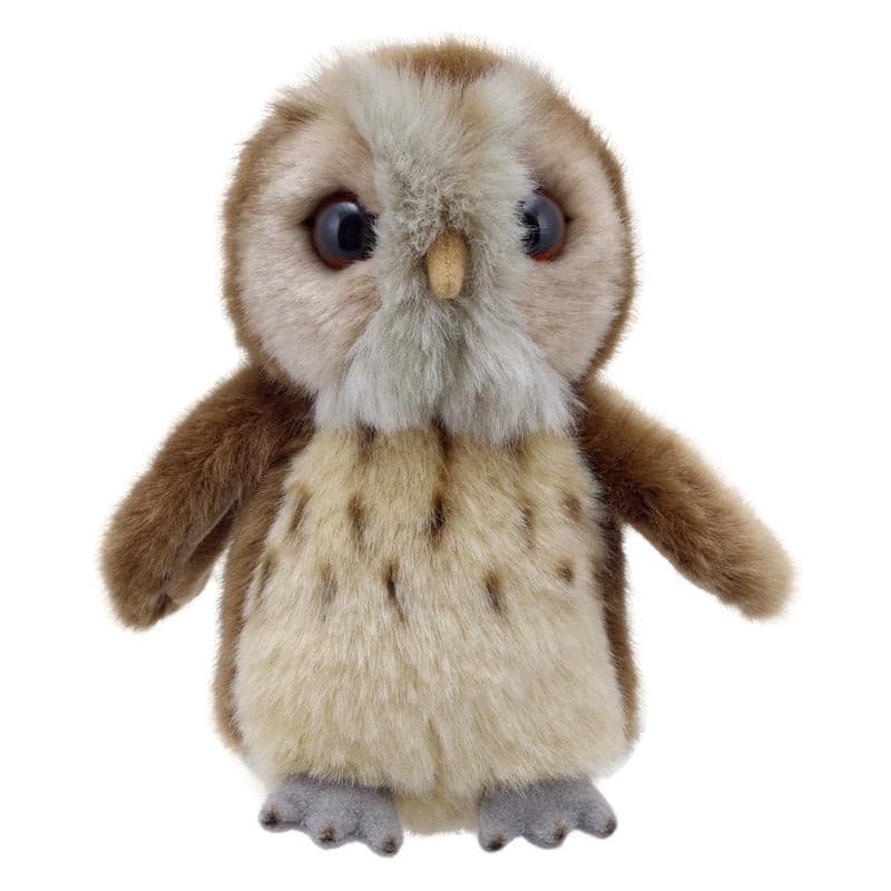 Mini Tawny Owl.