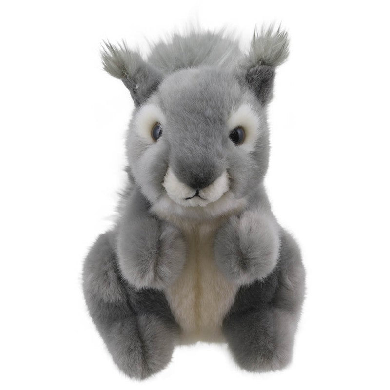 Mini Grey Squirrel.
