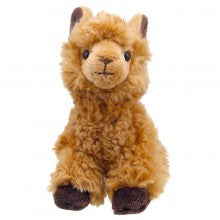 Mini Alpaca.