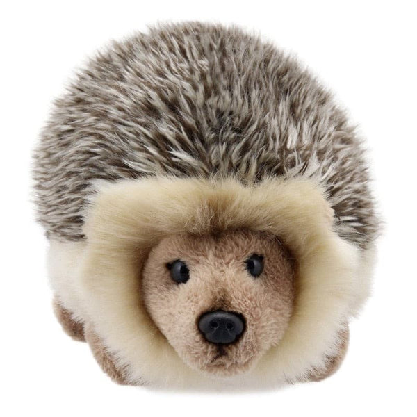 Mini Hedgehog.