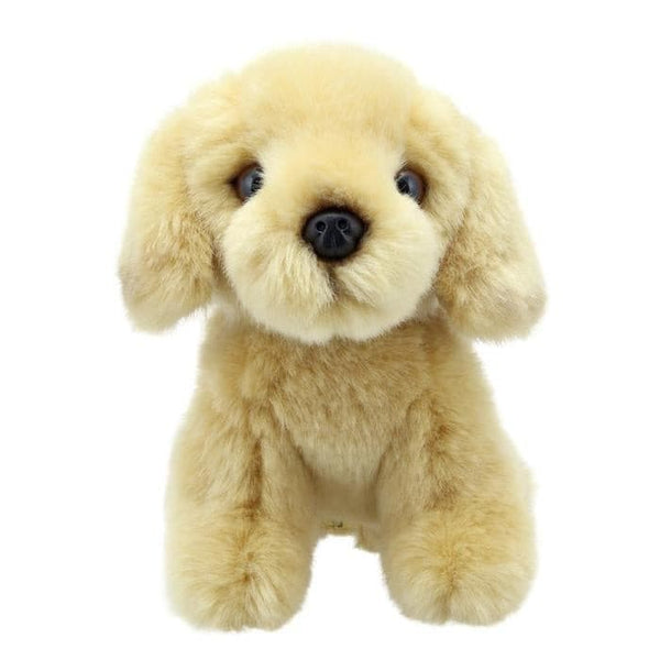 Mini Labrador Dog