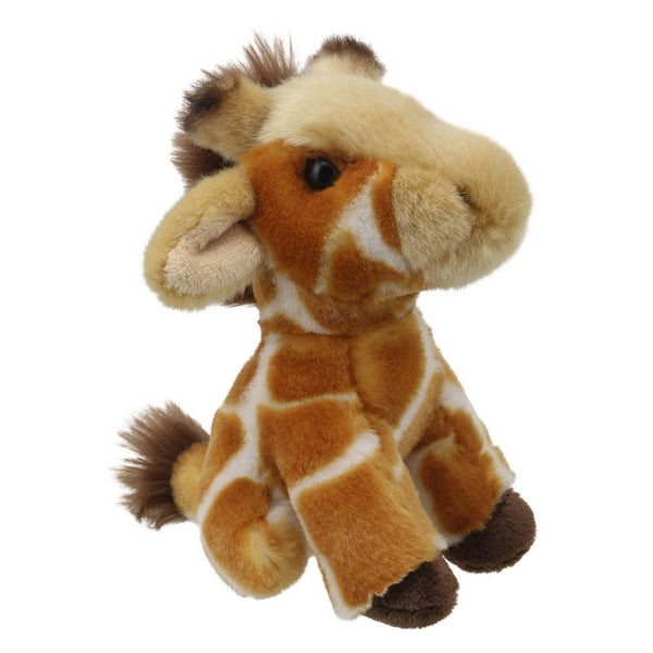 Mini Giraffe.