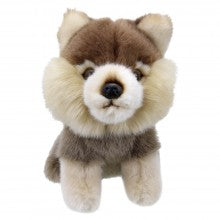 Mini Wolf.