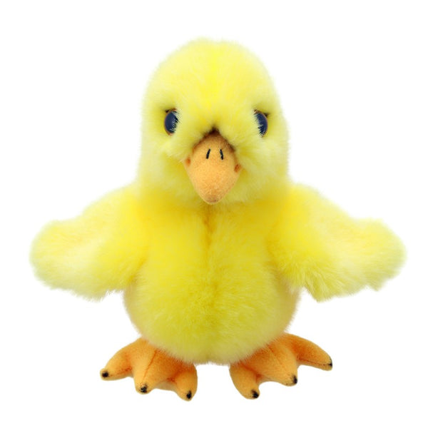Mini Chick.