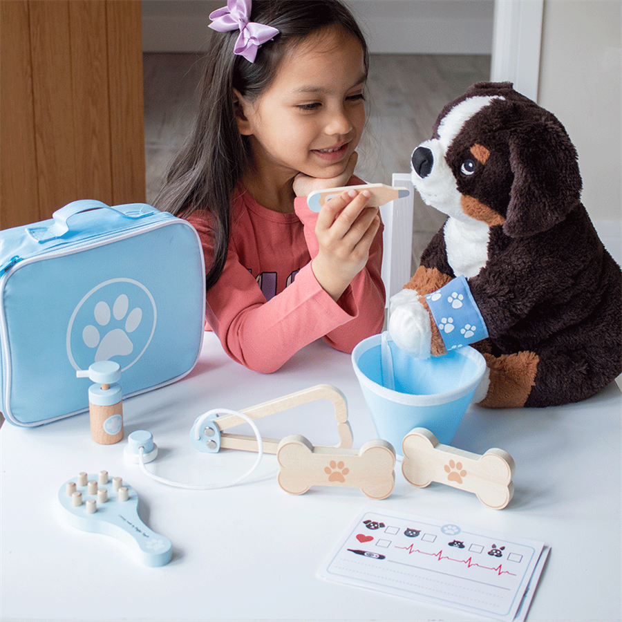 Veterinary Set Play Set.