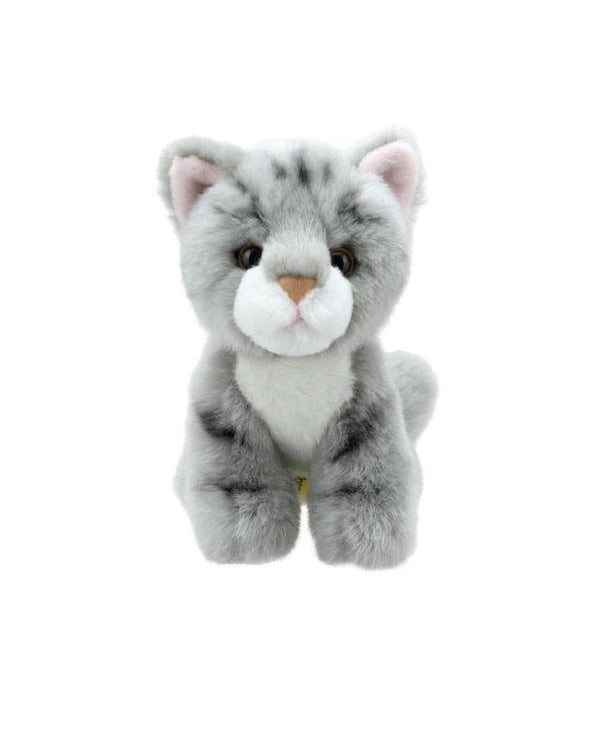 wilberry Mini Grey Cat